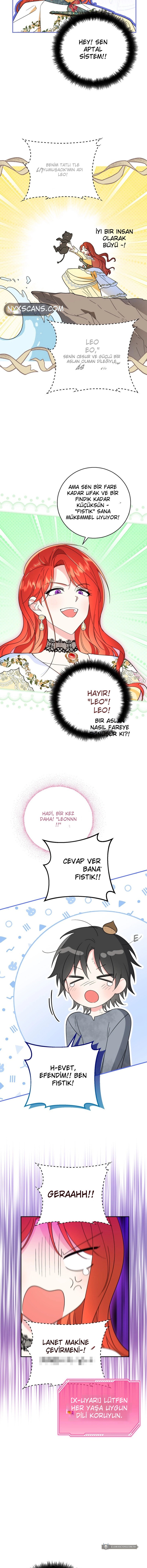 Chapter 4 - Image 6