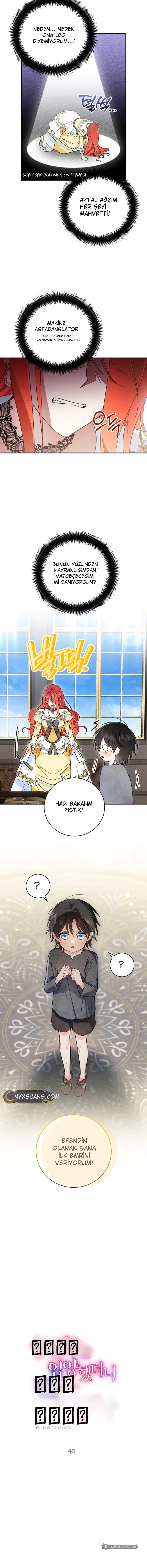 Chapter 4 - Image 7