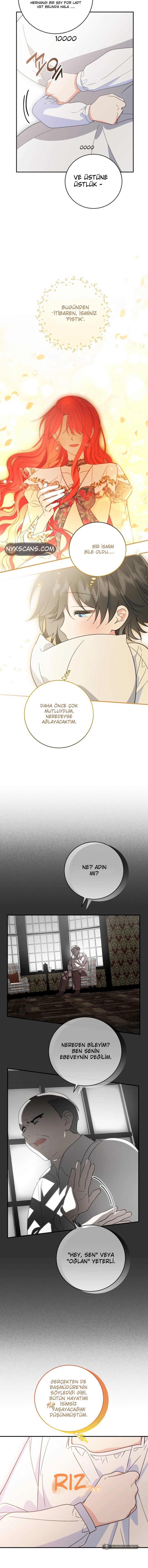 Chapter 4 - Image 11