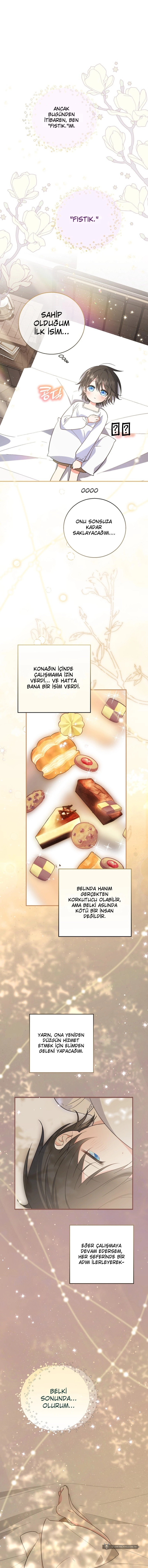 Chapter 4 - Image 12
