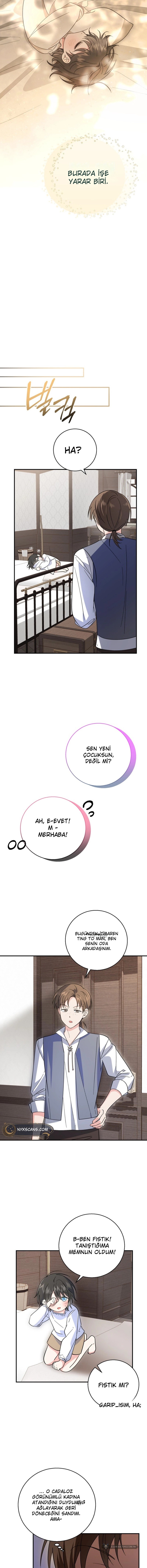 Chapter 4 - Image 13