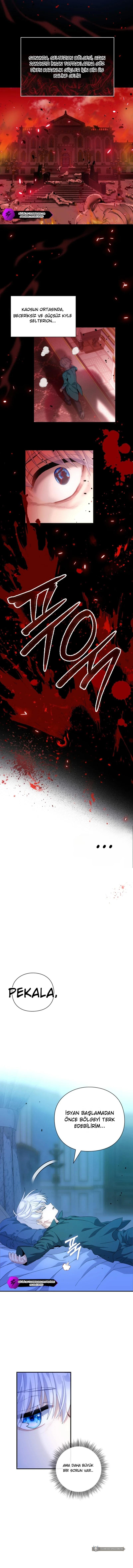 Chapter 1 - Image 6