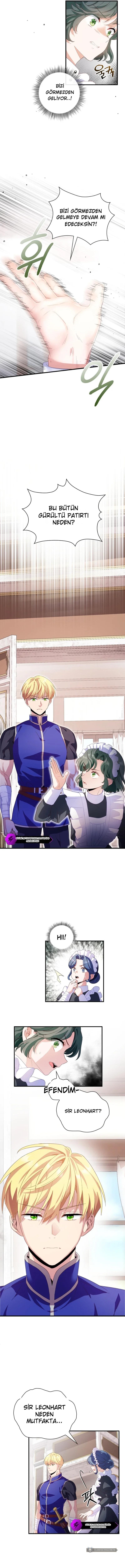 Chapter 2 - Image 6