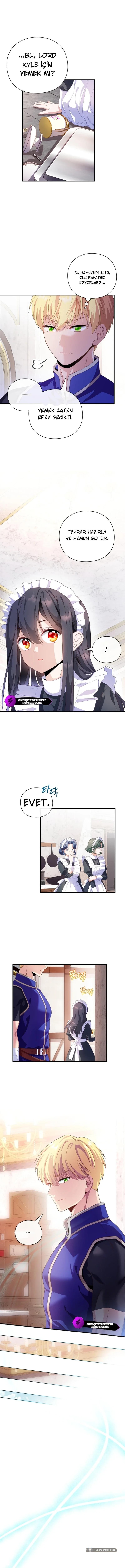 Chapter 2 - Image 7