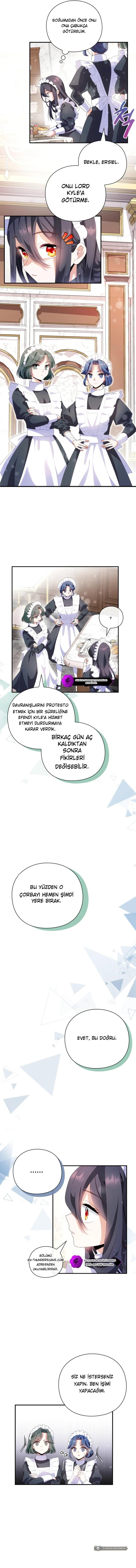 Chapter 3 - Image 4
