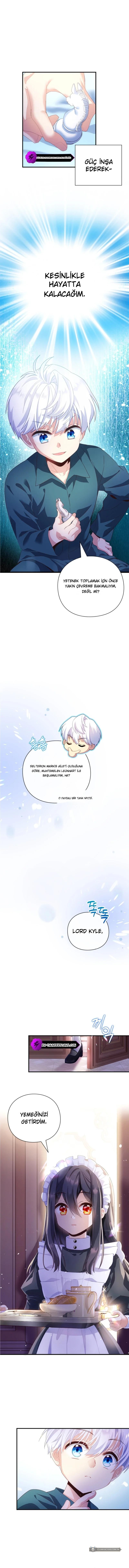 Chapter 3 - Image 10