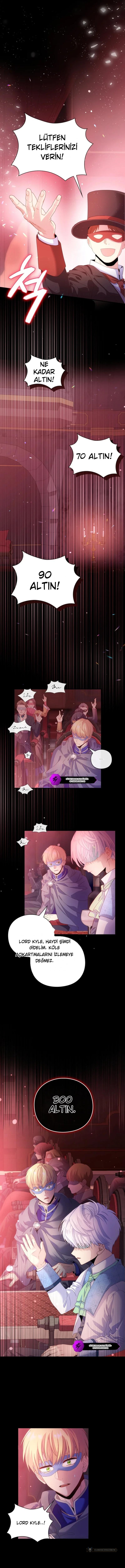 Chapter 3 - Image 15