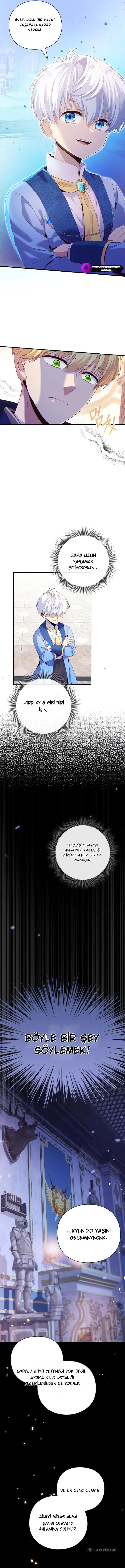 Chapter 5 - Image 2