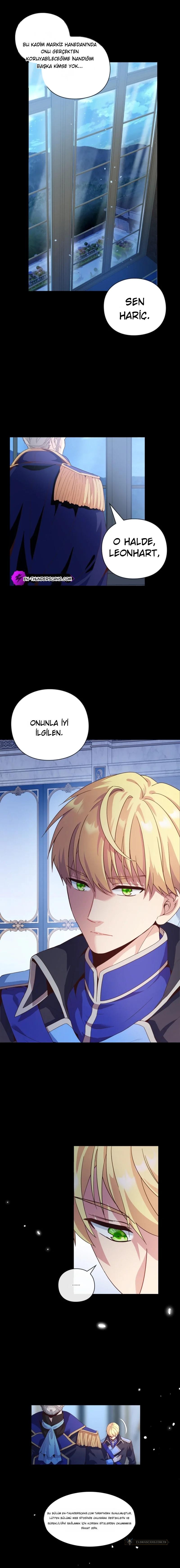 Chapter 5 - Image 4