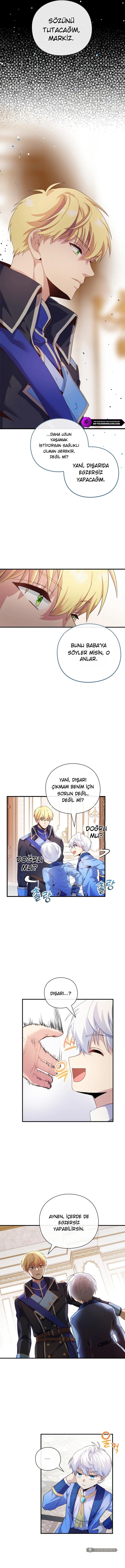 Chapter 5 - Image 5