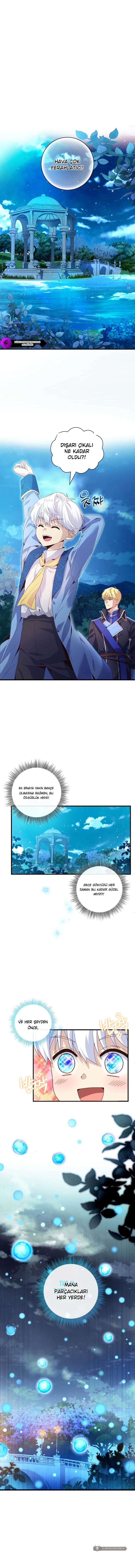 Chapter 5 - Image 11