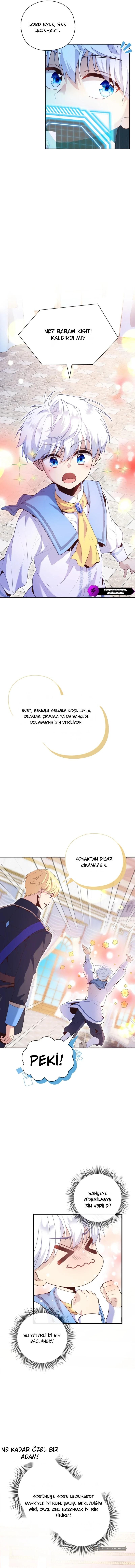 Chapter 6 - Image 12