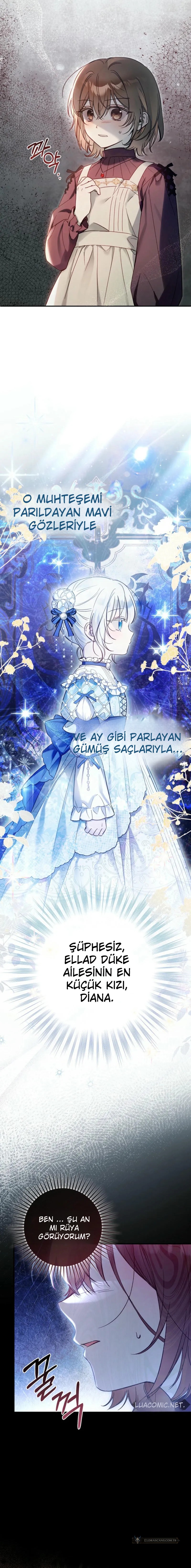 Chapter 1 - Image 3