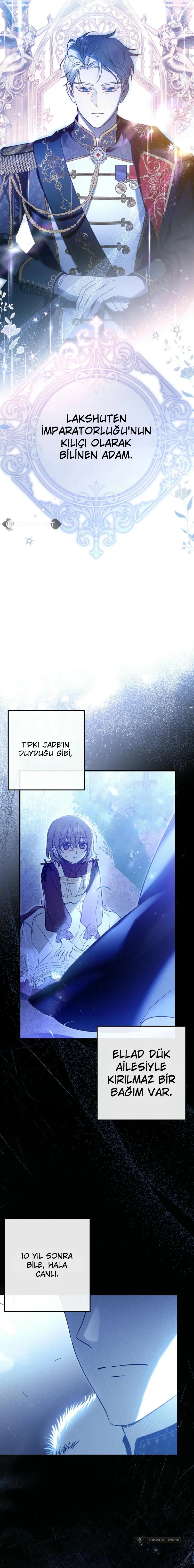 Chapter 1 - Image 11