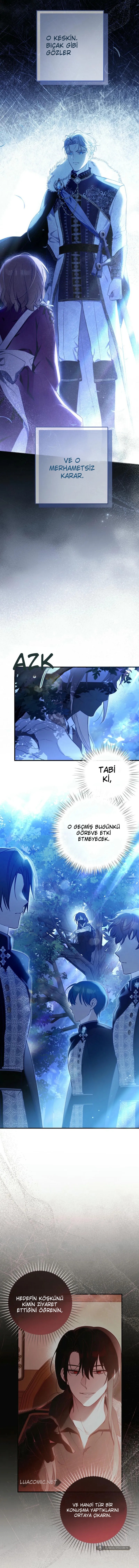 Chapter 1 - Image 12