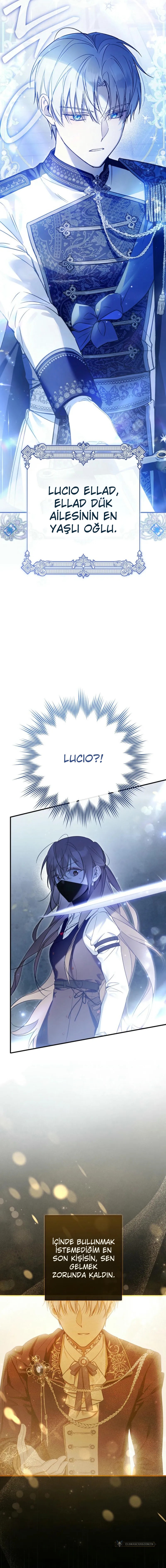 Chapter 1 - Image 17