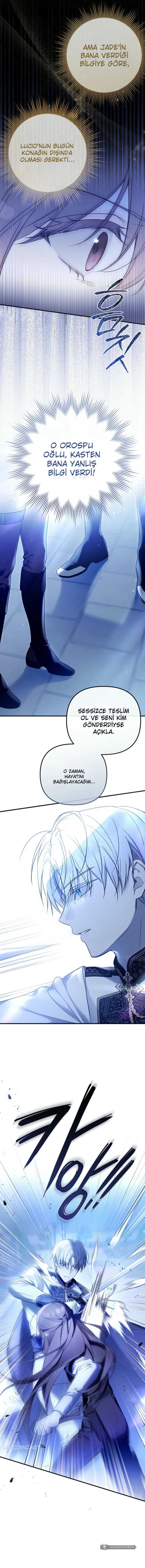 Chapter 1 - Image 18