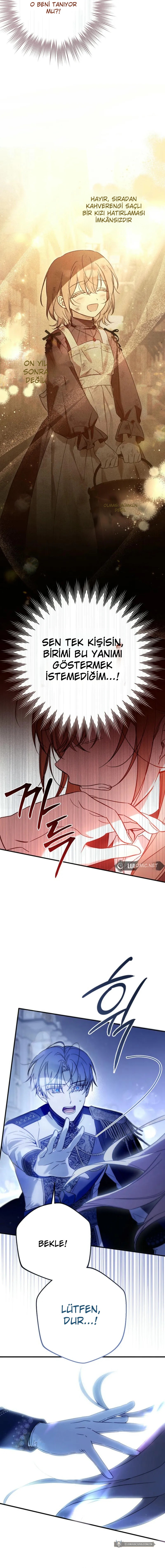 Chapter 1 - Image 20