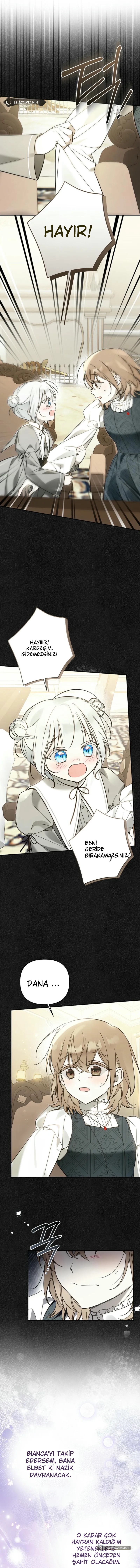 Chapter 10 - Image 7