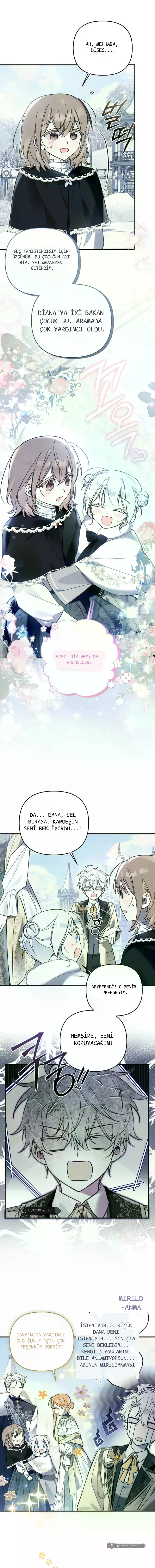 Chapter 11 - Image 4