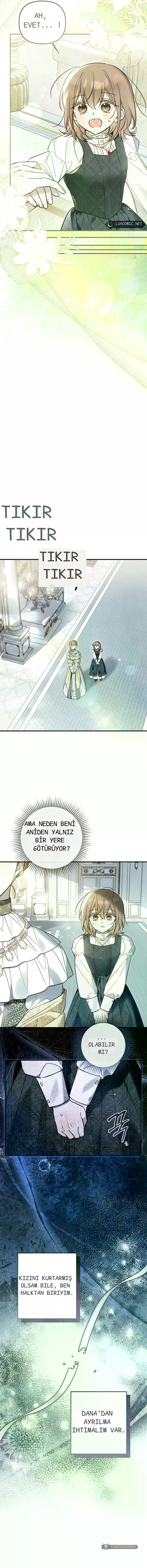 Chapter 11 - Image 9