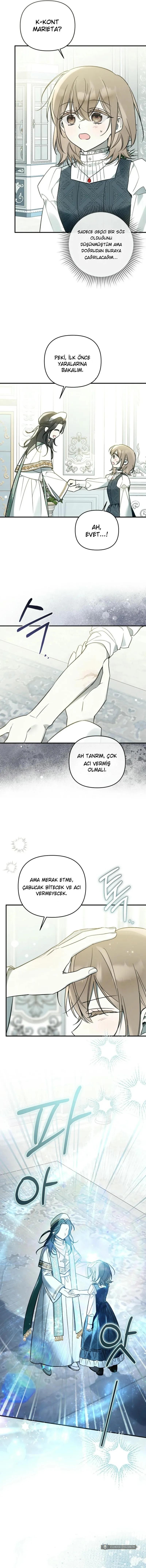 Chapter 11 - Image 11