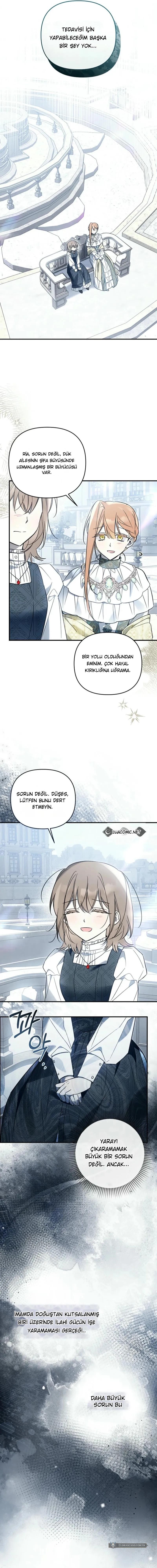 Chapter 11 - Image 13