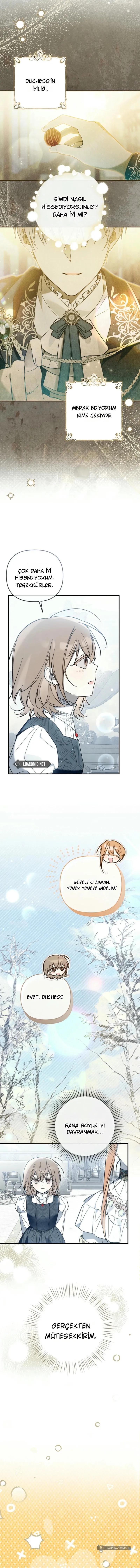 Chapter 11 - Image 15