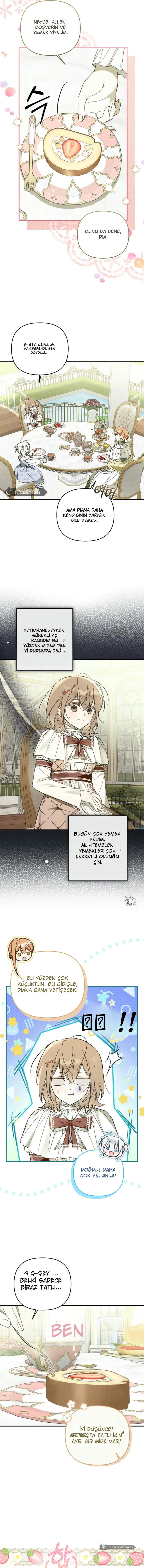Chapter 12 - Image 5