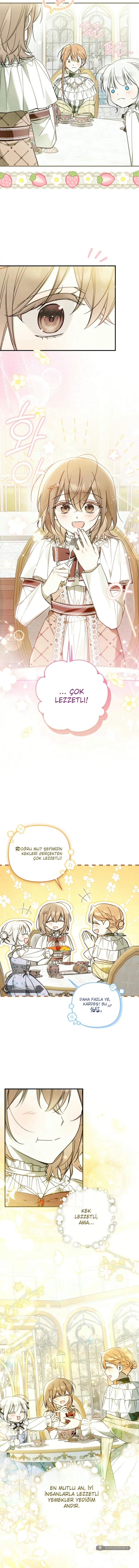 Chapter 12 - Image 6