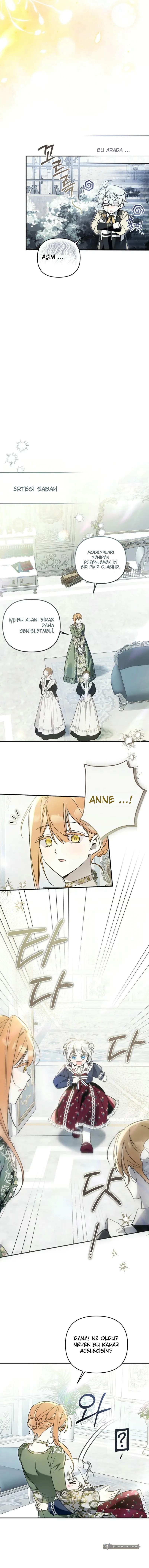 Chapter 12 - Image 7