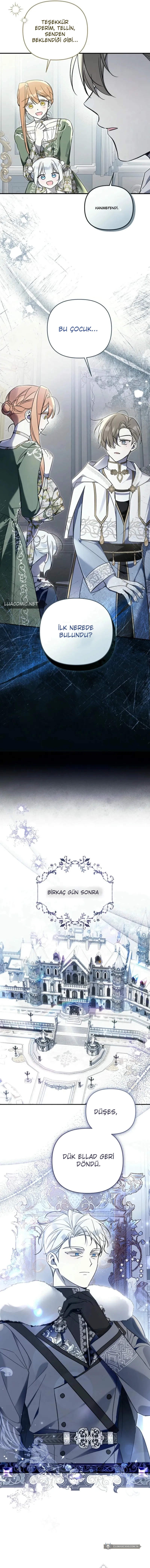 Chapter 12 - Image 11