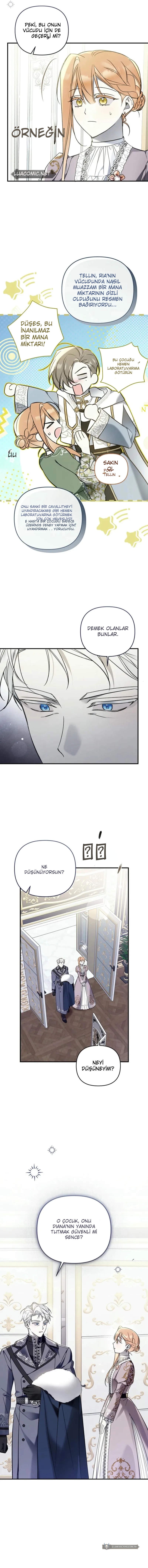 Chapter 12 - Image 13