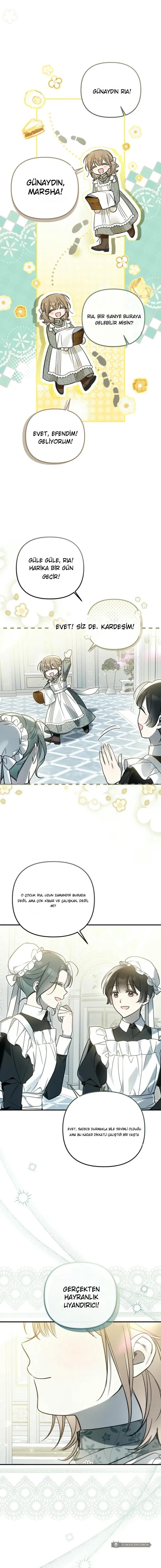 Chapter 15 - Image 2