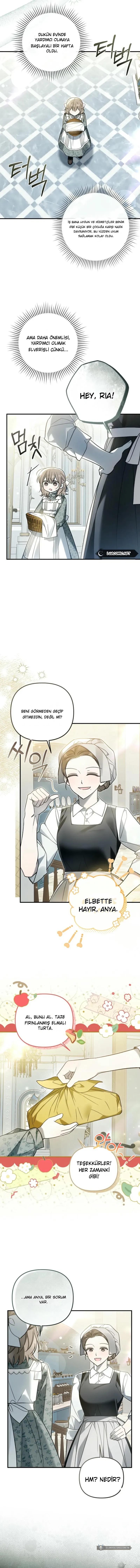 Chapter 15 - Image 3