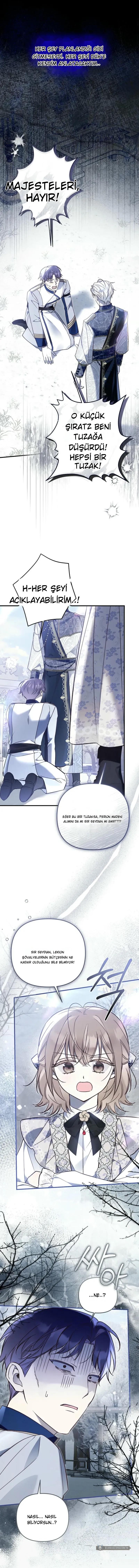 Chapter 16 - Image 14
