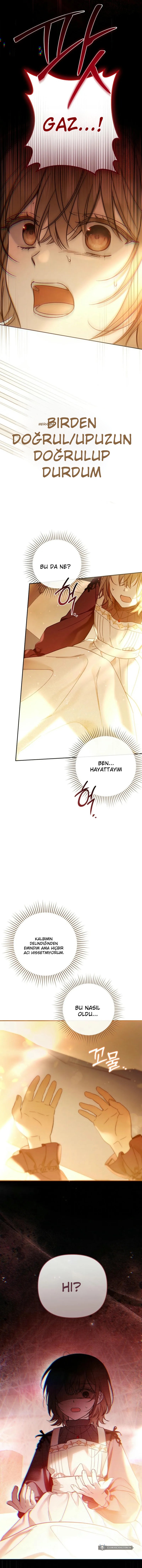 Chapter 2 - Image 3
