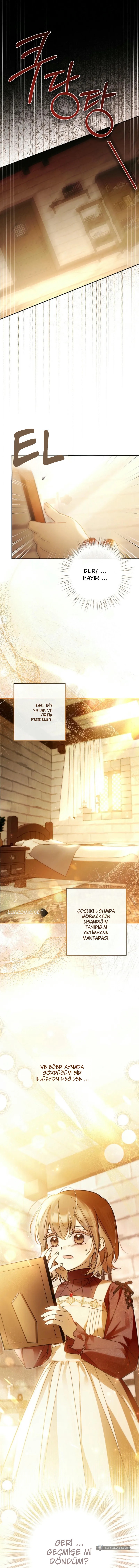 Chapter 2 - Image 4