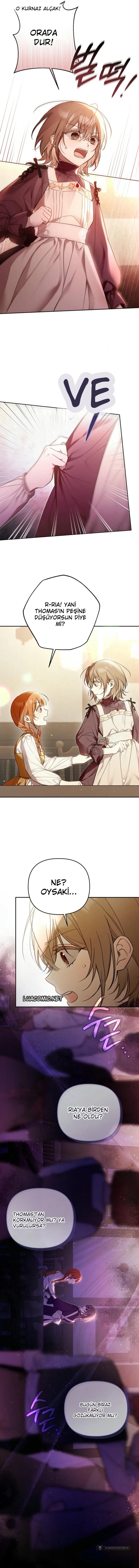 Chapter 2 - Image 9