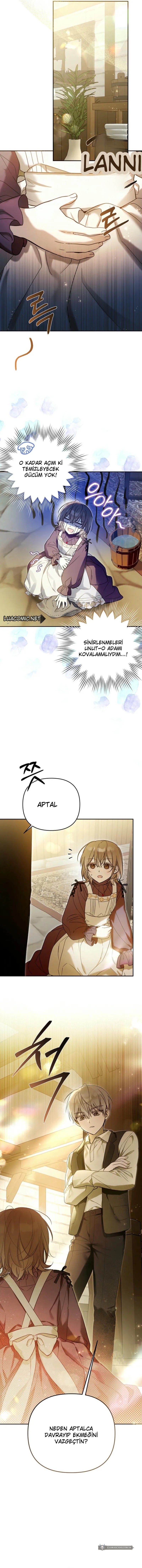 Chapter 2 - Image 11