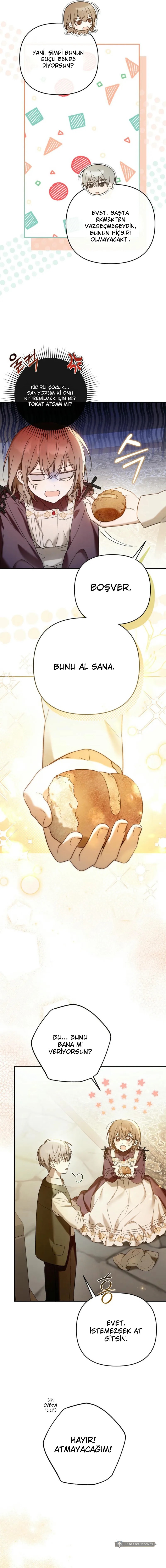 Chapter 2 - Image 12