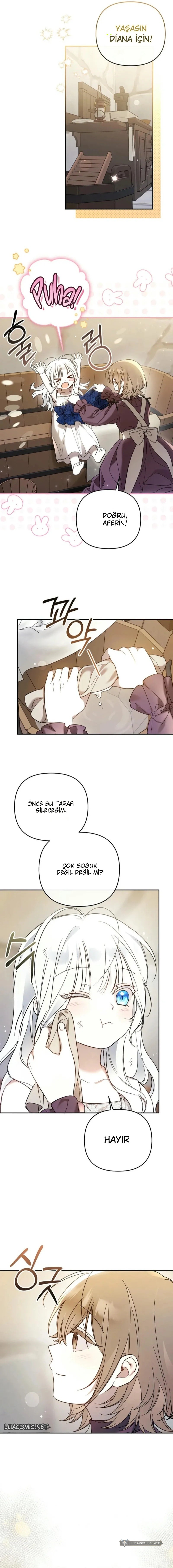 Chapter 3 - Image 2