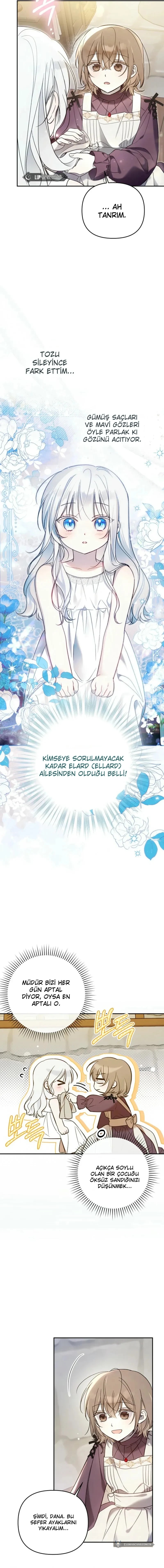 Chapter 3 - Image 4