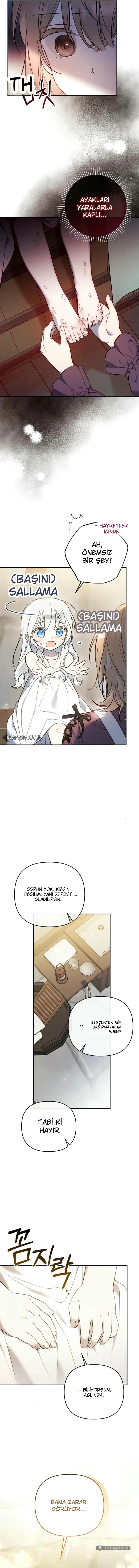 Chapter 3 - Image 5