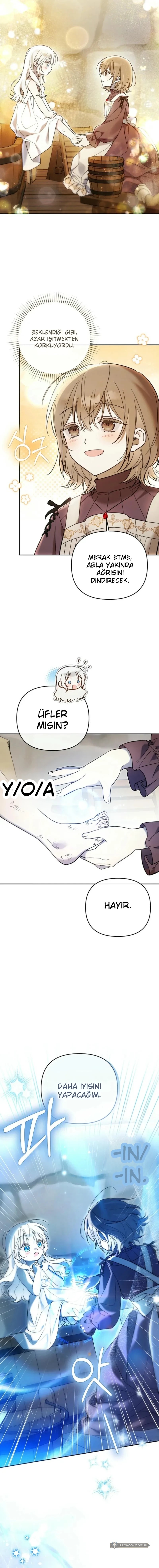 Chapter 3 - Image 6