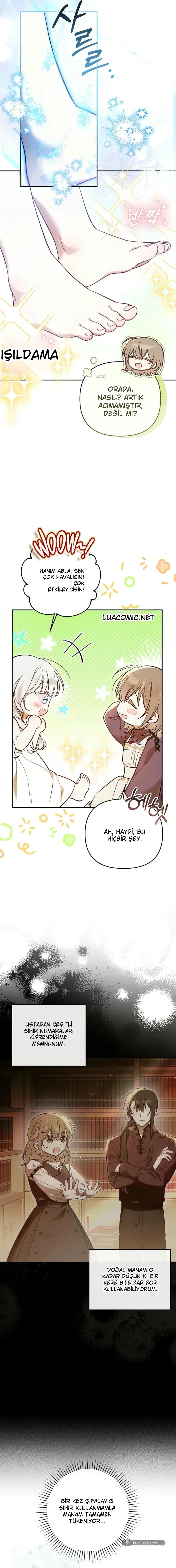 Chapter 3 - Image 7