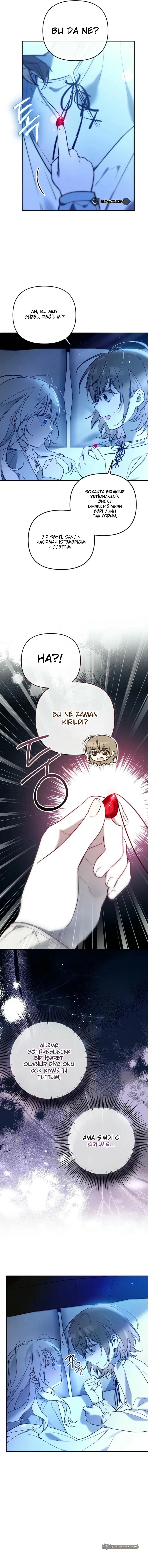 Chapter 3 - Image 12