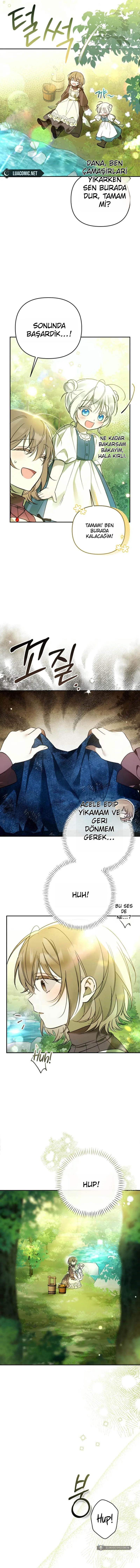Chapter 4 - Image 5