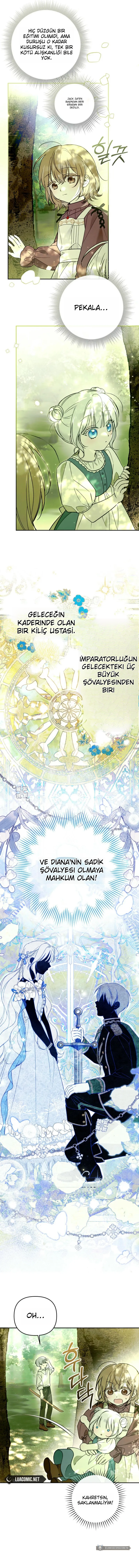 Chapter 4 - Image 7