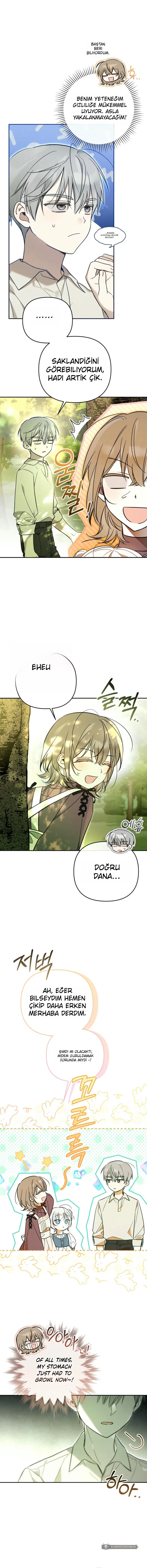 Chapter 4 - Image 8